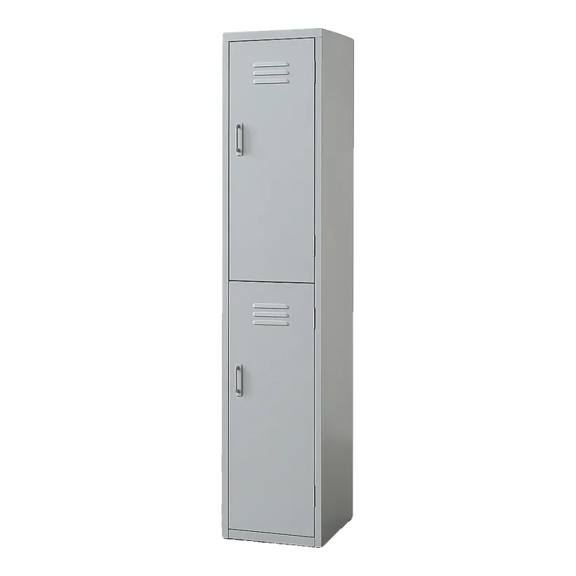 Locker 2 Puertas 1.80x38x45