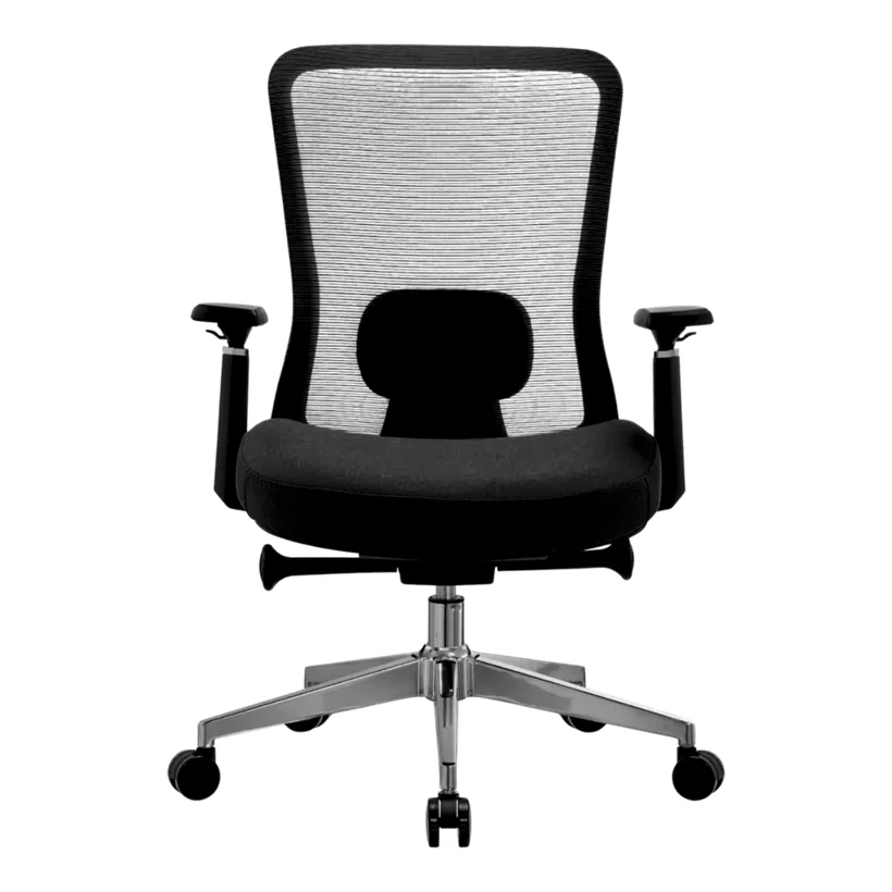 Silla ejecutiva BIO B